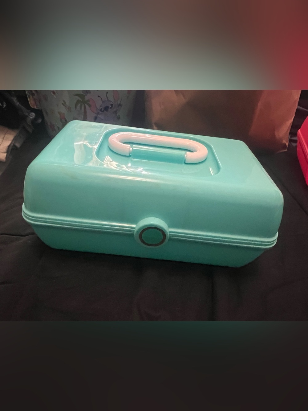 Aqua Plastic Storage Case with Carry Handle